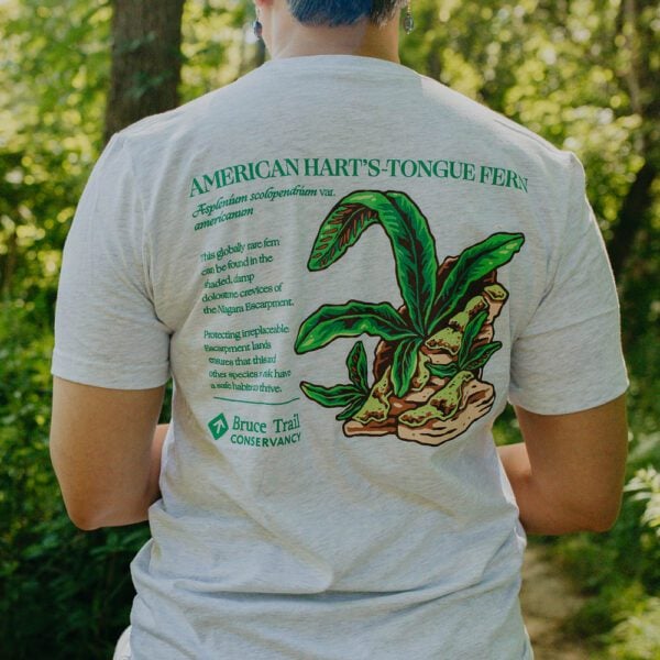 American Hart's-tongue Fern Shirt-2 Birthday Boots