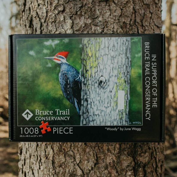 Woody Puzzle-3 Birthday Boots